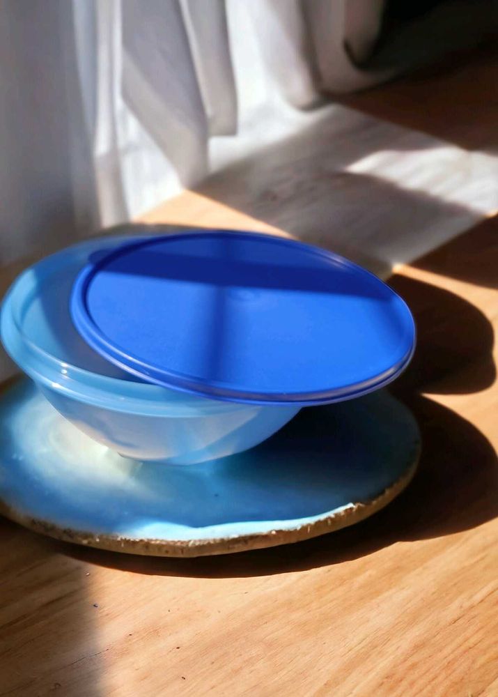 Tupperware Wonderlier Bowl