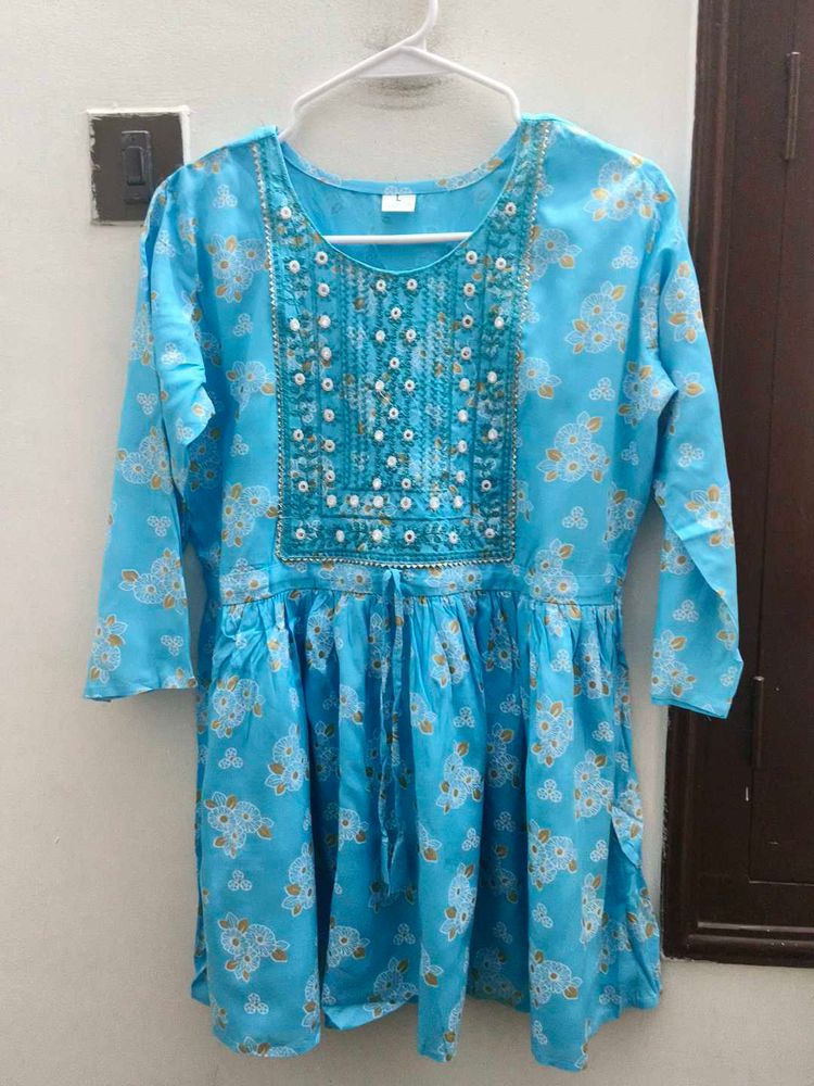 Embroidered Light Blue Top