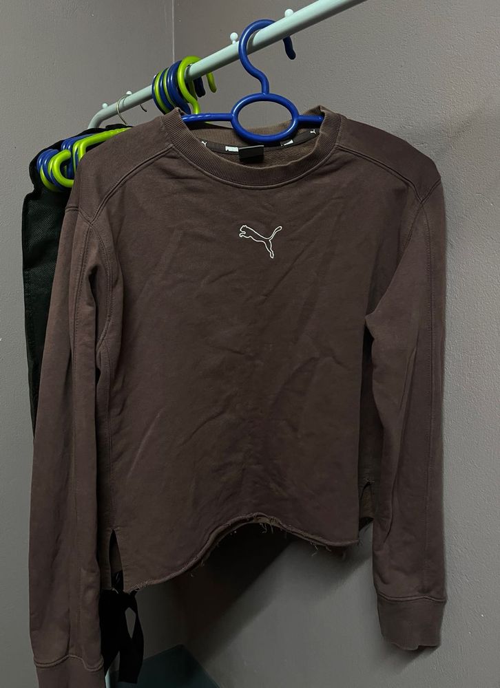 Puma Brown  Sweatshirt