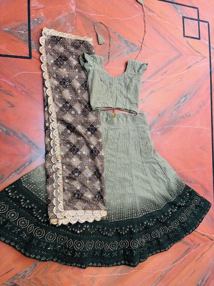 Elegant Lehenga Choli Set