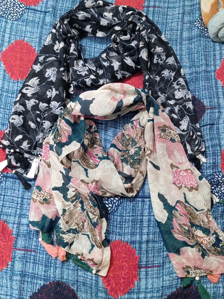 Scarf