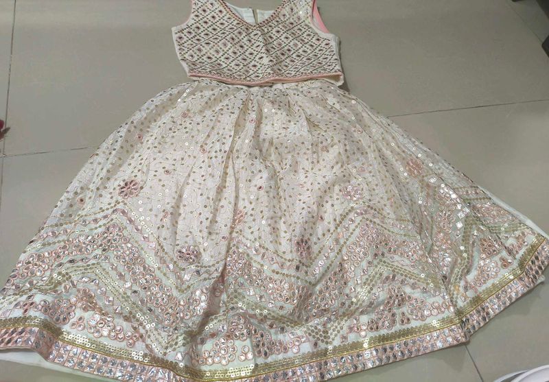 Embroidered Lehenga Choli Set