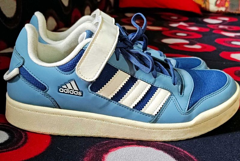 Adidas Blue White Sneakers