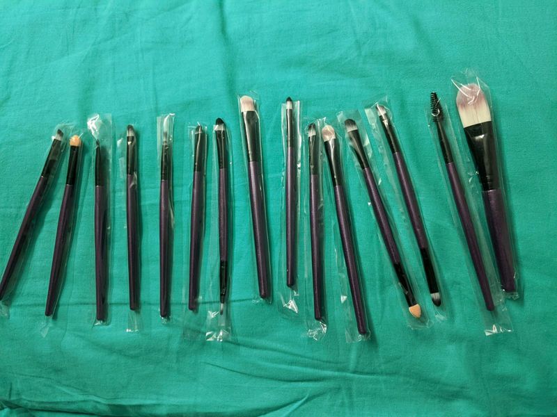 Fixed Price -Makeup brush set of 15