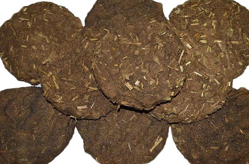 Pure Cow/Buffalo Dung Gobar Big Upla/uplay Cow/ Kande/gosse/thepdi/Cow Dung Cakefor Hawan, Puja &amp; Religious Purpose