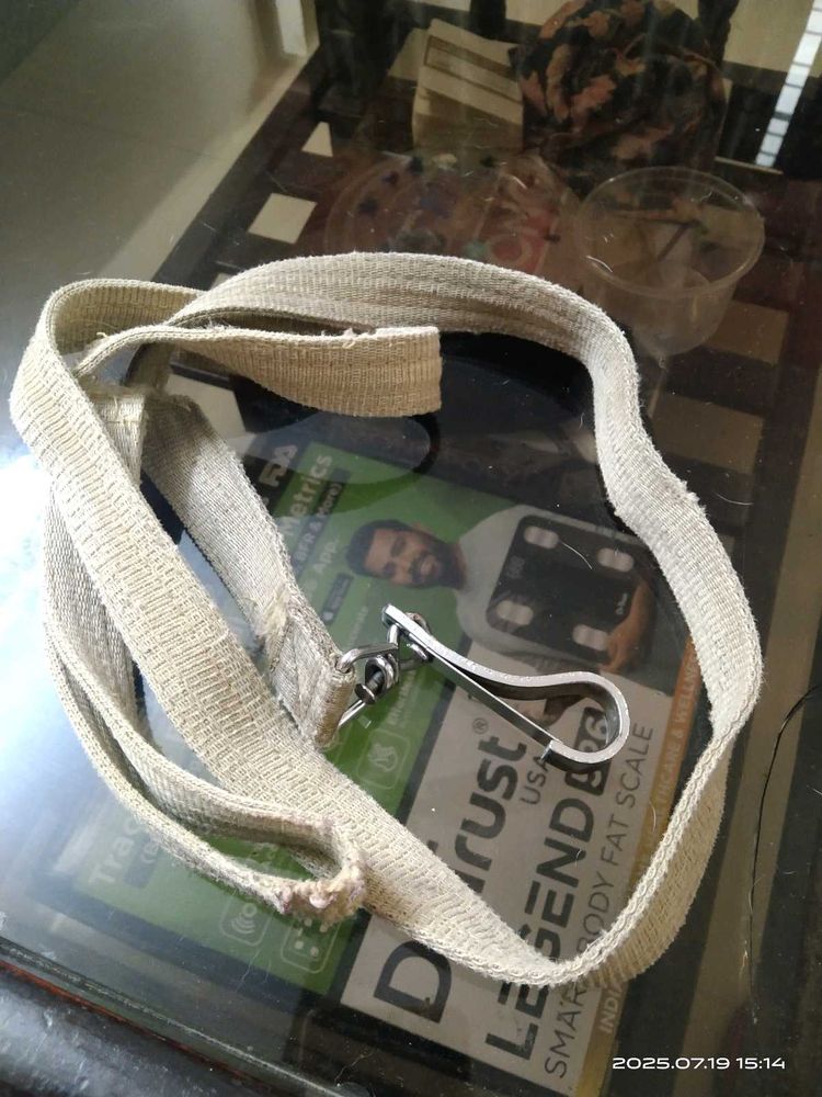 Free - Dog Leash
