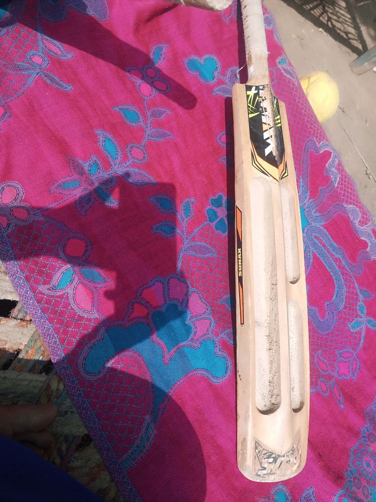 Cricket Bat