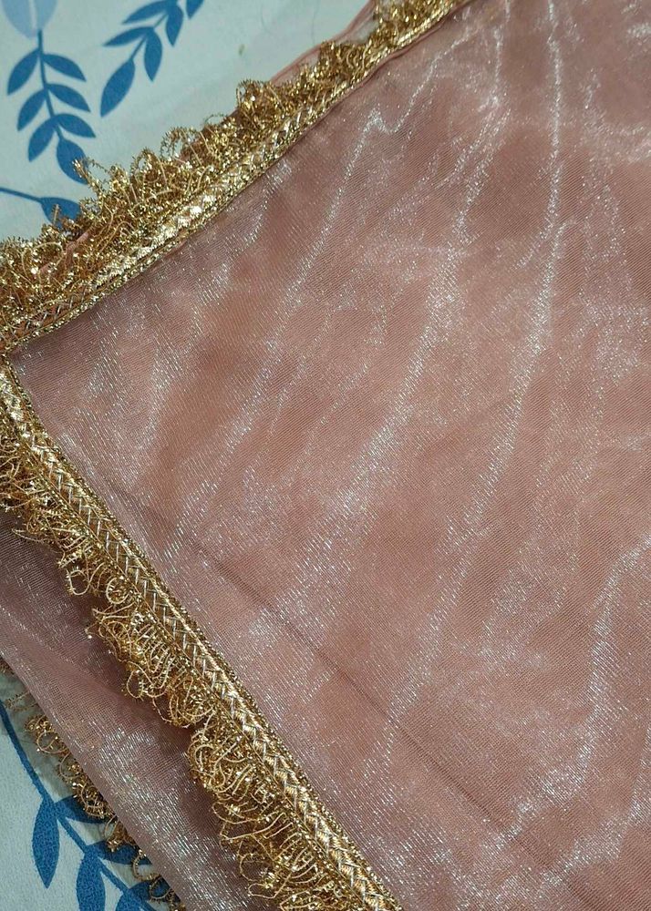 Elegant Ethnic Saree