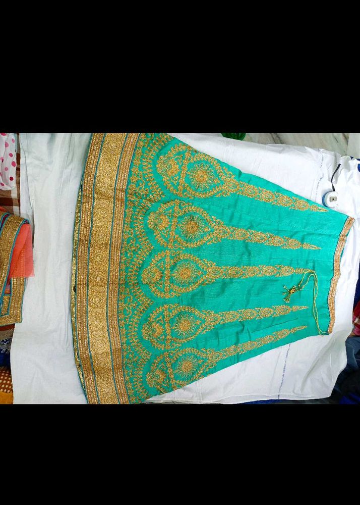 Embroidered Lehenga Skirt blouse dupatta