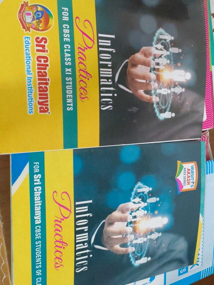 Informatics Practices Class 11 Books