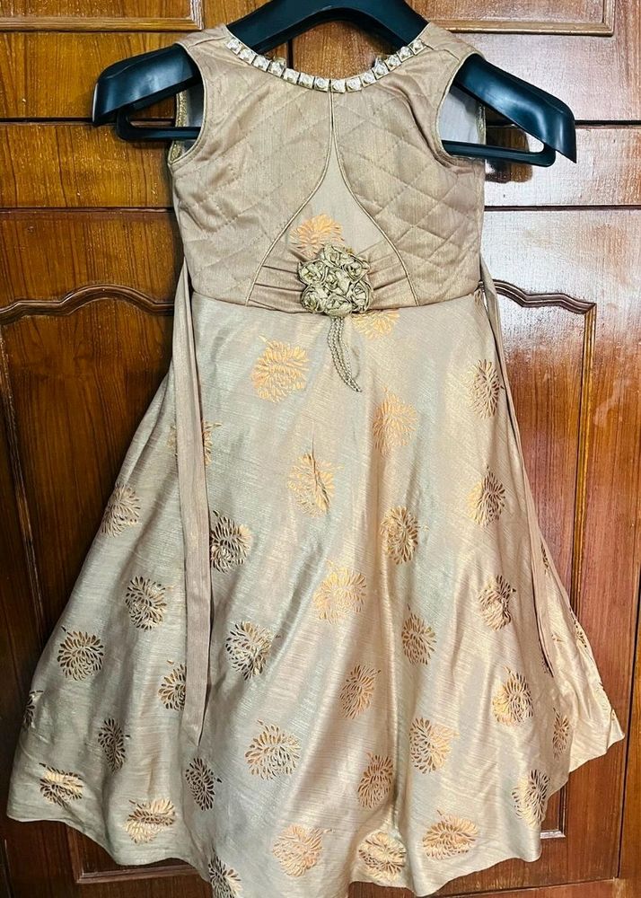 Fancy Girls Gown