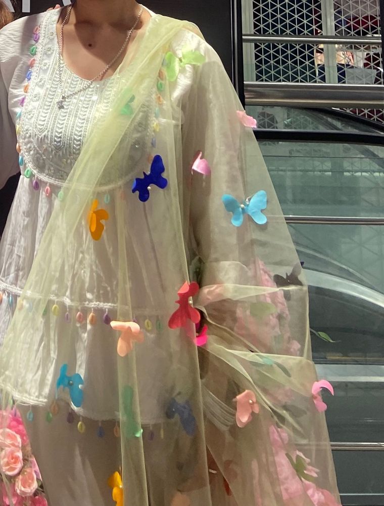 Beautiful Butterfly Embellished Dupatta