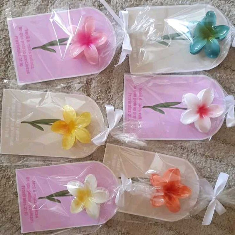 beautiful claw clips (set of 6) best for gifting