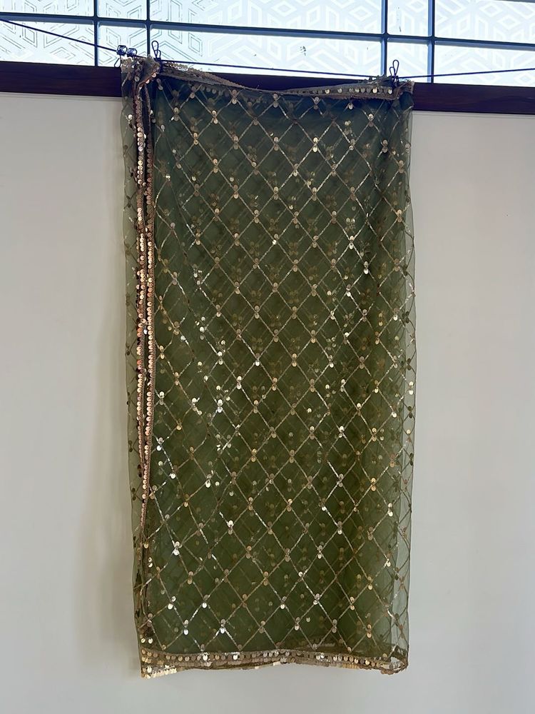 Embellished Olive Green Dupatta