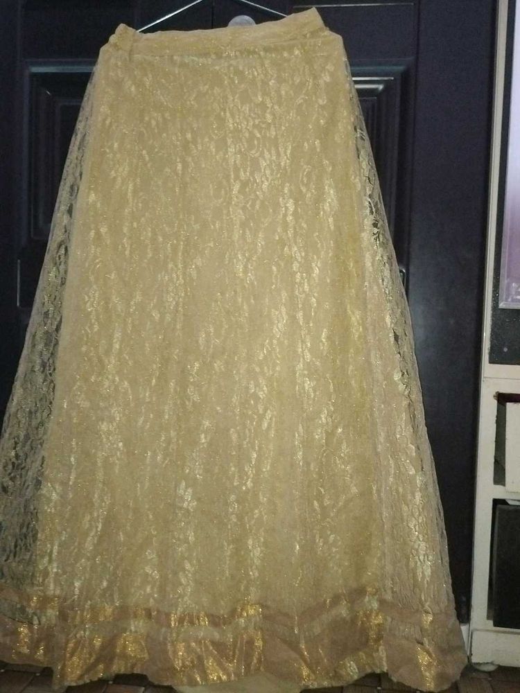 Elegant Ethnic Skirt