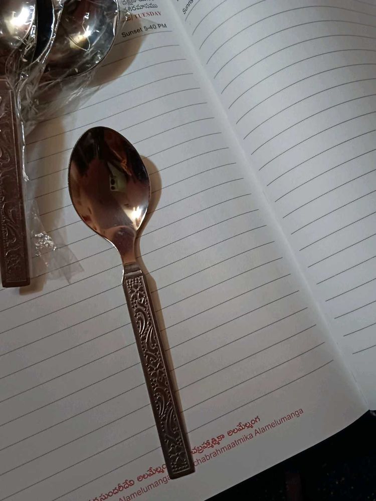 Set of 8 Stainless Steel Spoons