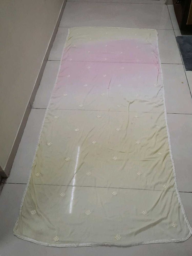 Elegant Pink  And Beige Ombre Dupatta