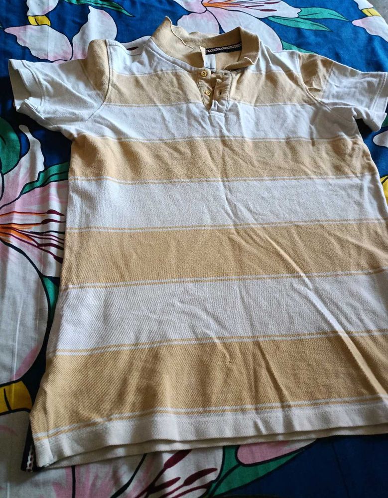 6 T Shirts