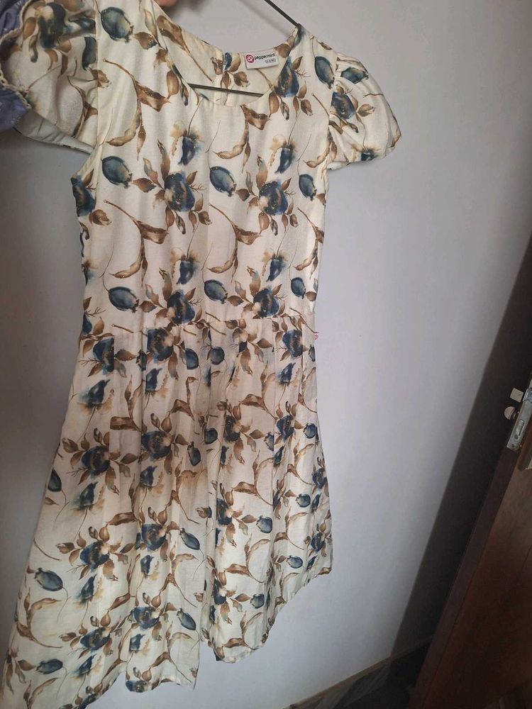 Floral Print Mini Dress