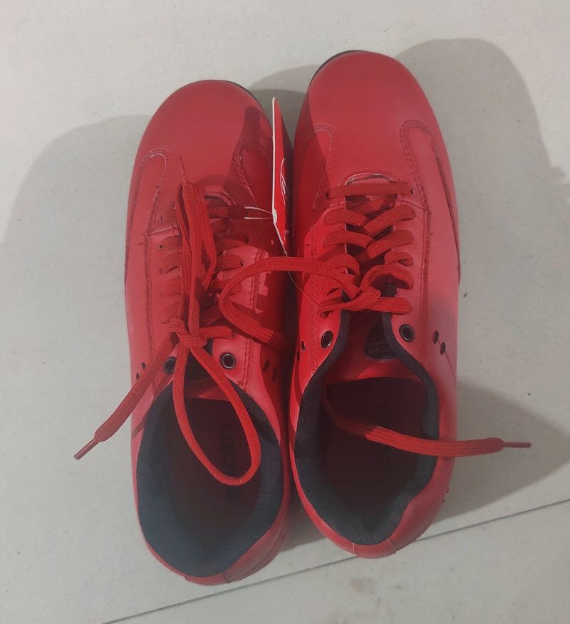 Ducati Men's Casual Shoes. Like New.  No Coins