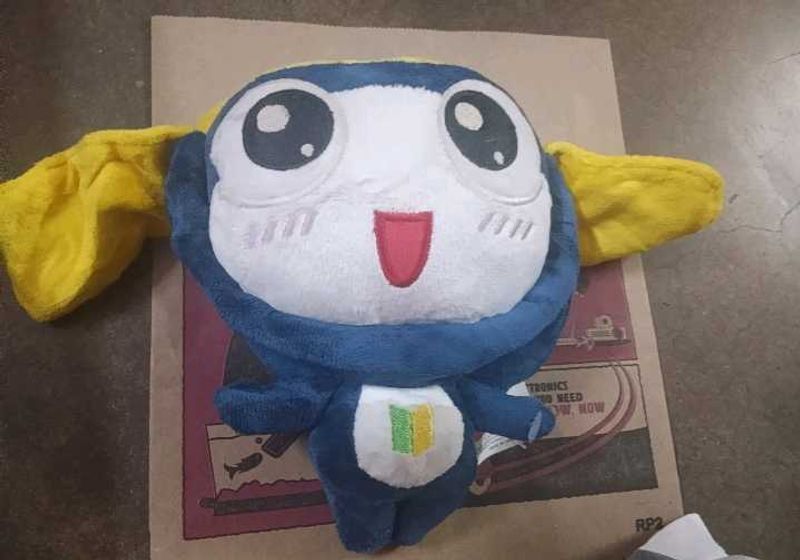 coin purse
