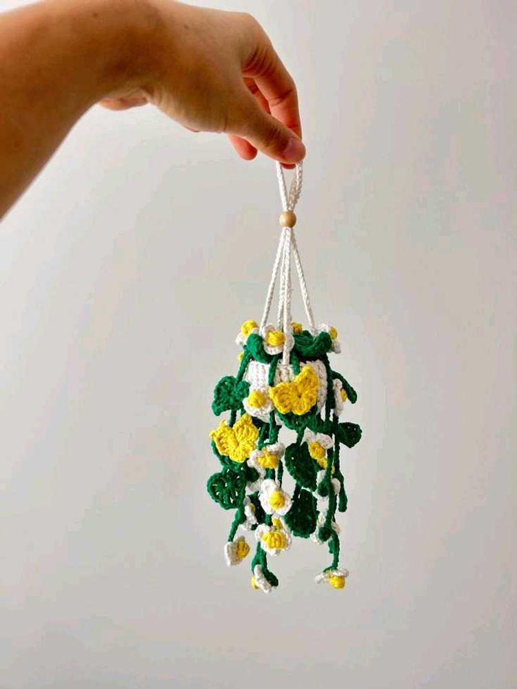 Crocheted Hanging Plant Decor
