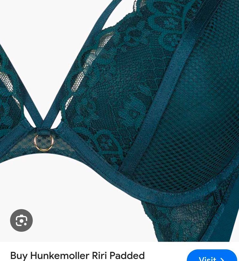 Elegant sexy and beautiful bra with brief