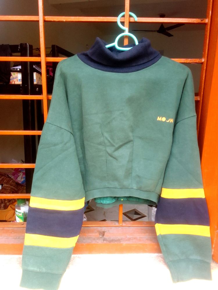 Turtle Neck Sweater @200