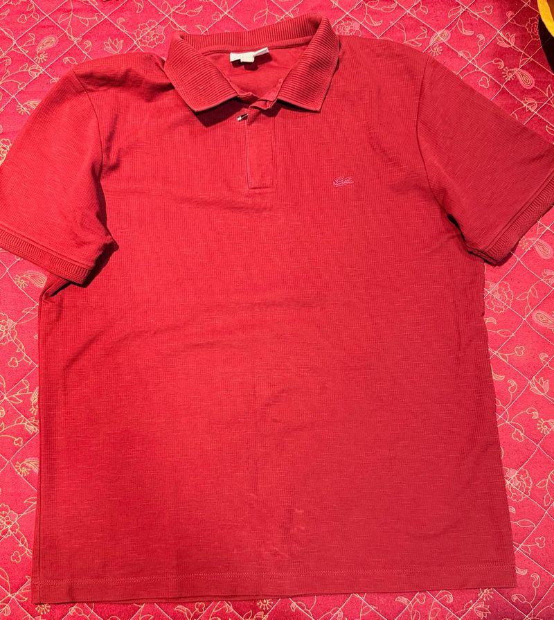 trending lacoste tshirt 1st copy confortable