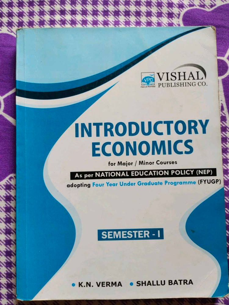 Introductory Economics for Major/Minor Courses