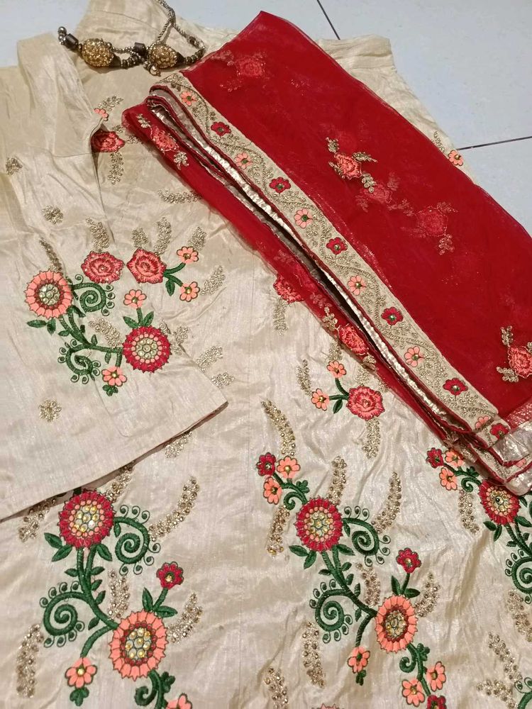 Elegant Embroidered Lehenga Choli Set