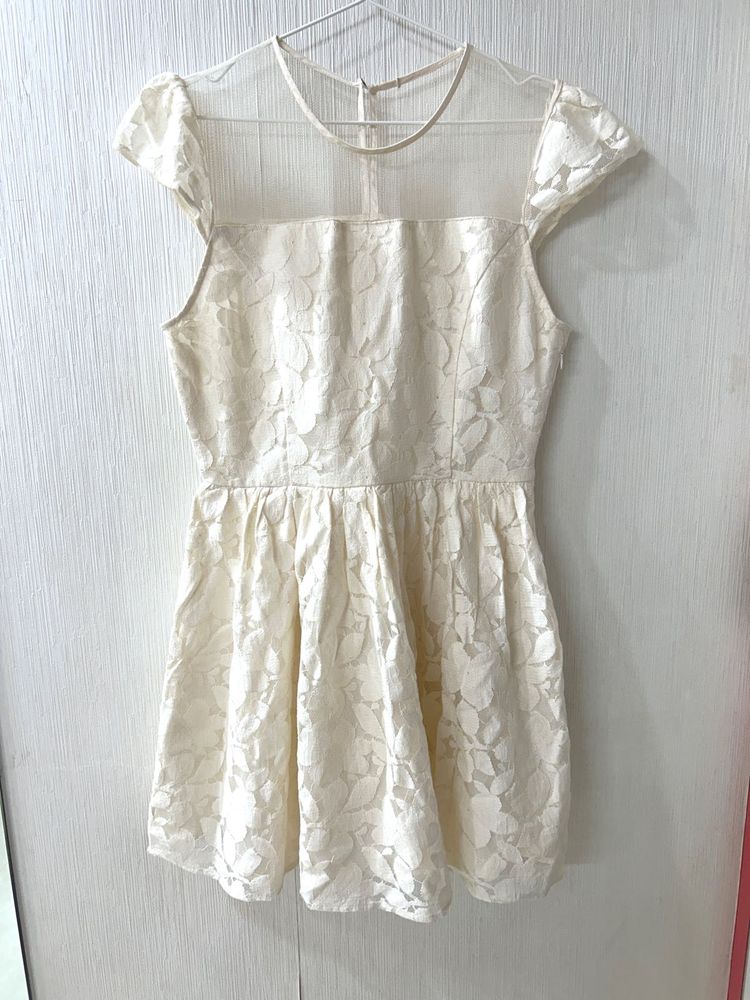 Elegant Lace Overlay Mini Dress