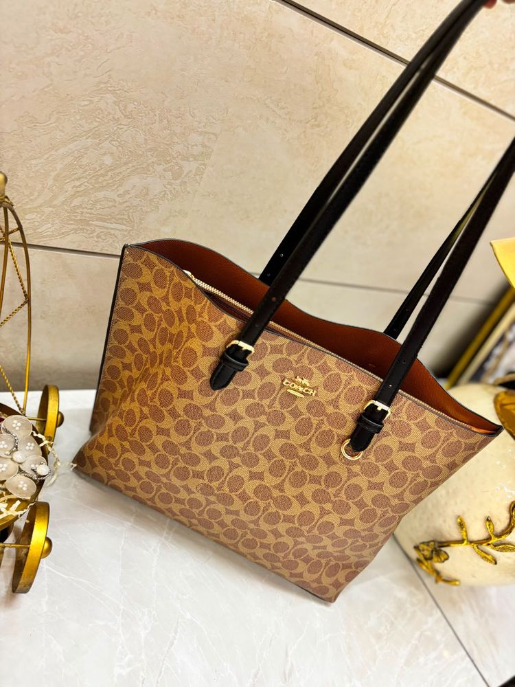 Coach Signature Tote Bag