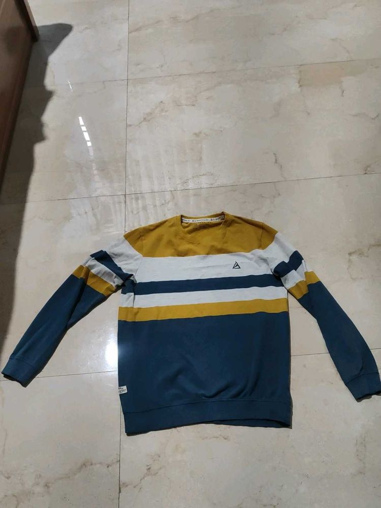 Striped Crewneck Sweatshirt