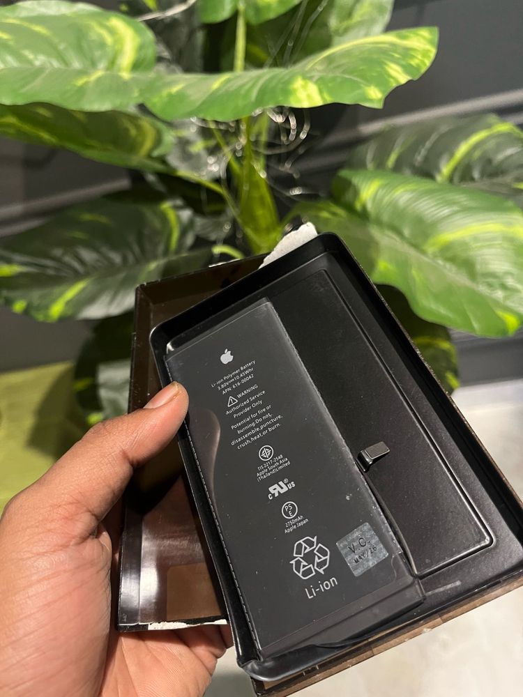 Apple iPhone Battery