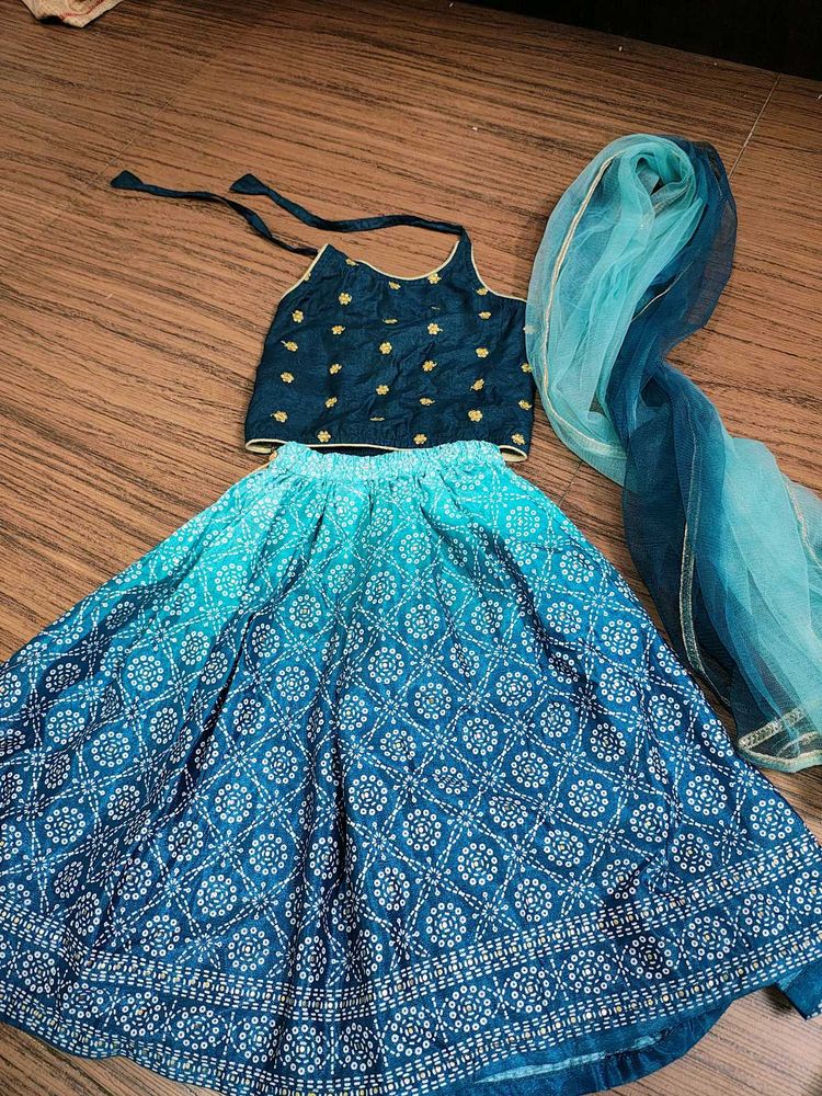 Beautiful Blue Ombre Lehenga Choli Set