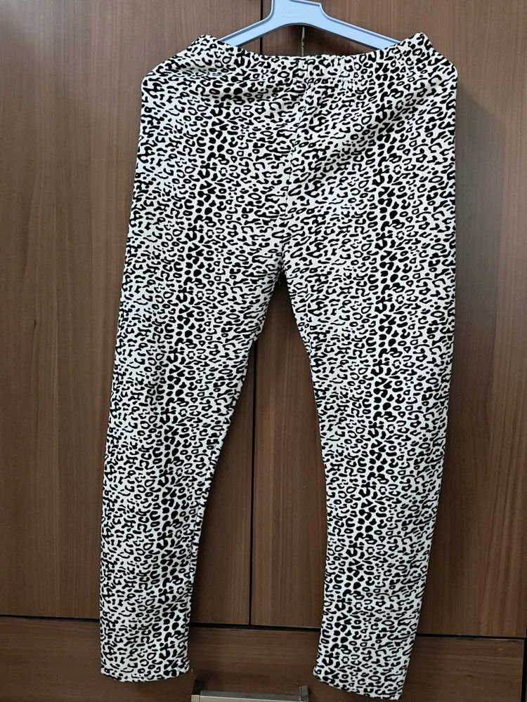 Leopard Print Skinny Woollen Pants