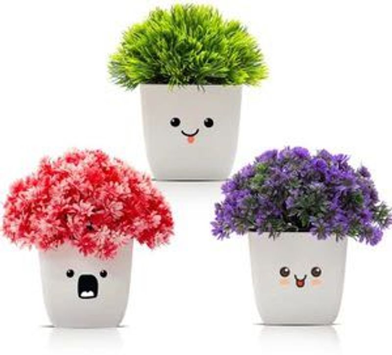 Cute Face Potted Plants (Set of 3)
