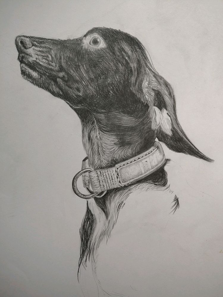 Coustmize Art Work 💝