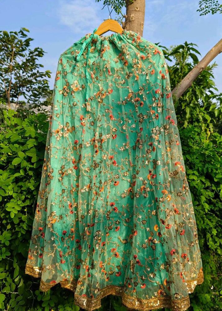 Embroidered Net Skirt