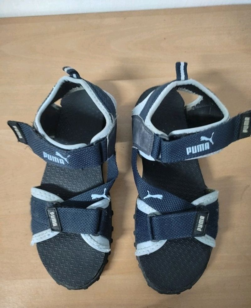 Puma Flotters