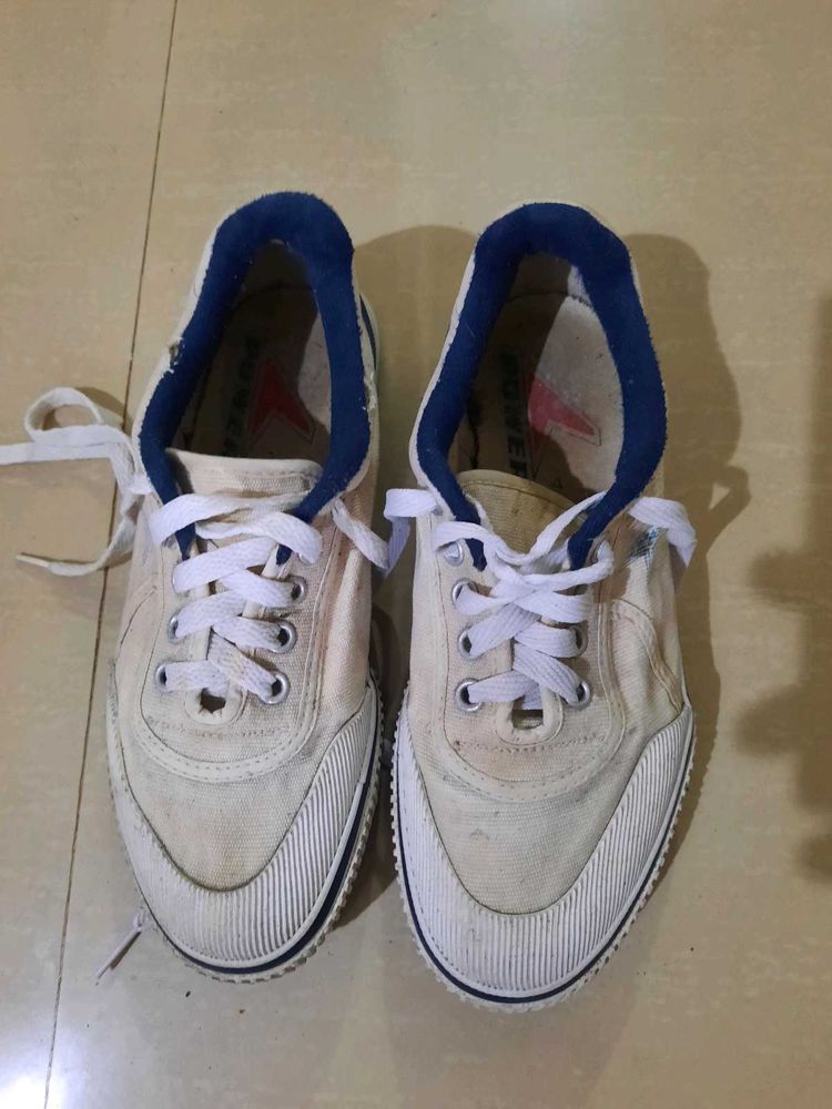 White Canvas Sneakers with Blue Trim