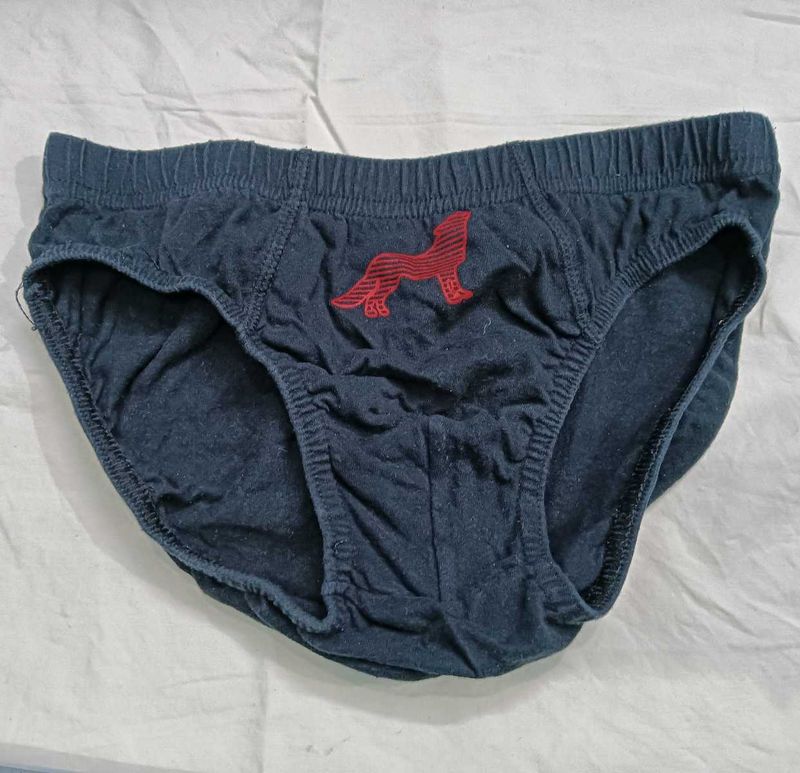 Men's Blue💛 Briefs with Wolf Logo