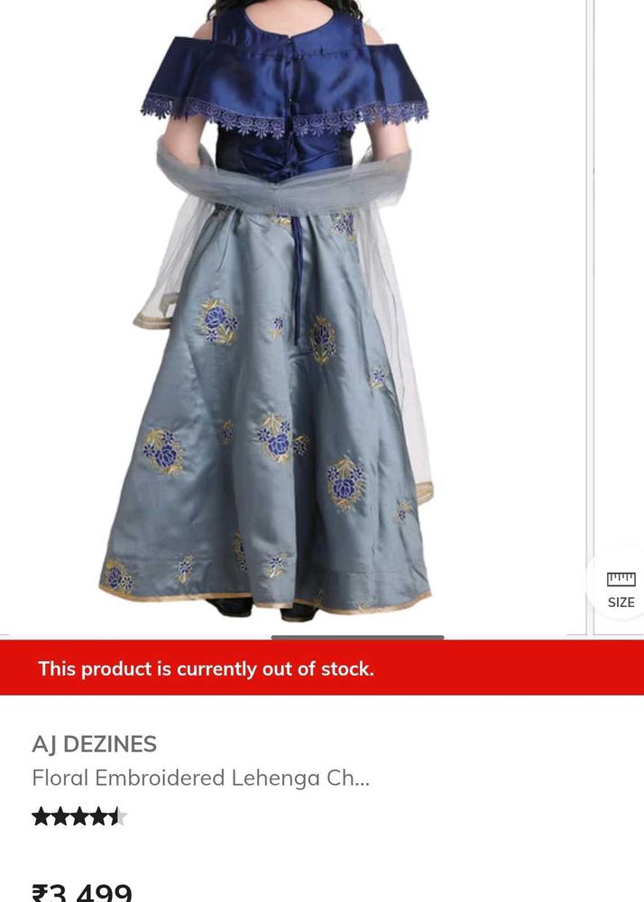 10 years old girl embroidered lehenga choli set