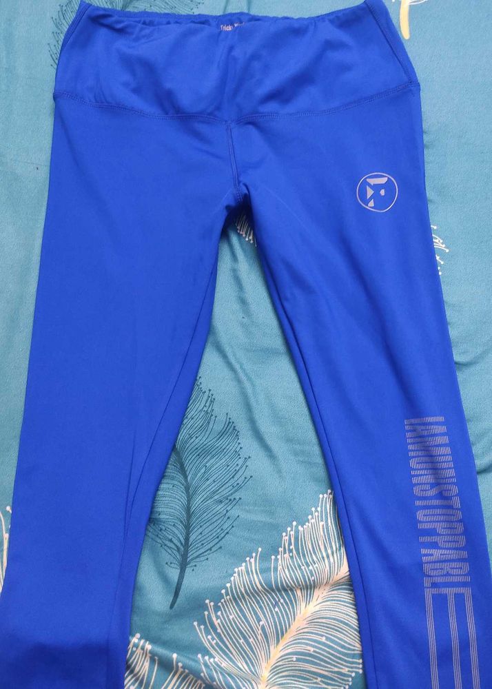 Royal Blue Yoga Pants