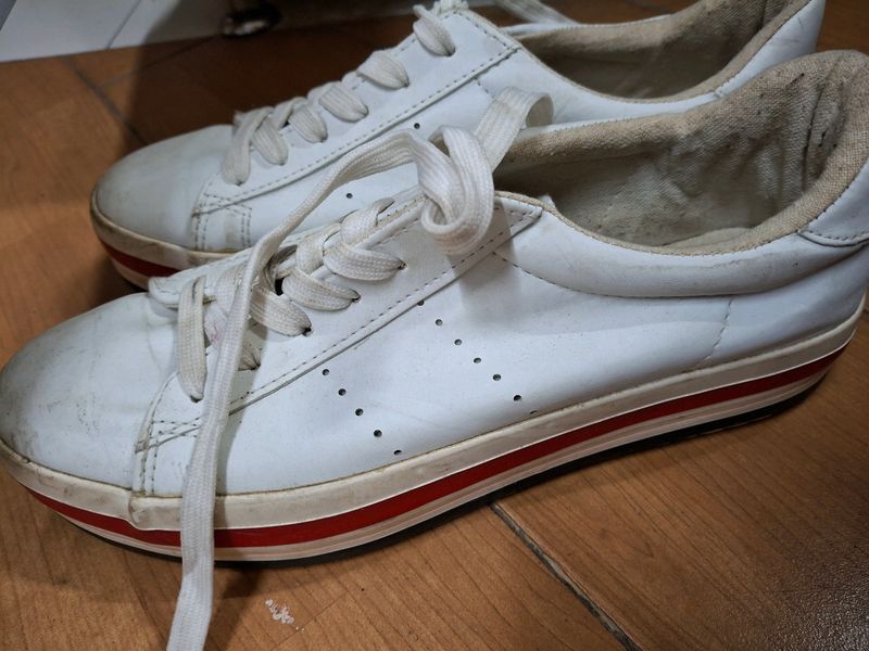 Casual Shoes 👞