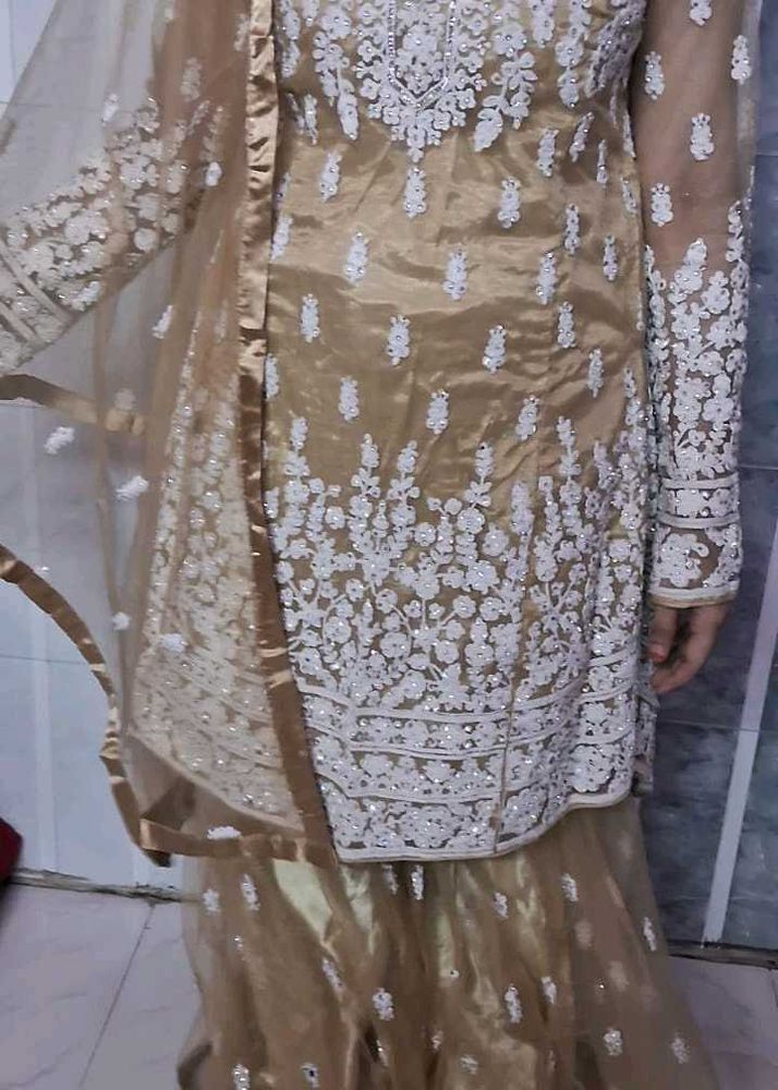 Exquisite Embellished Sharara