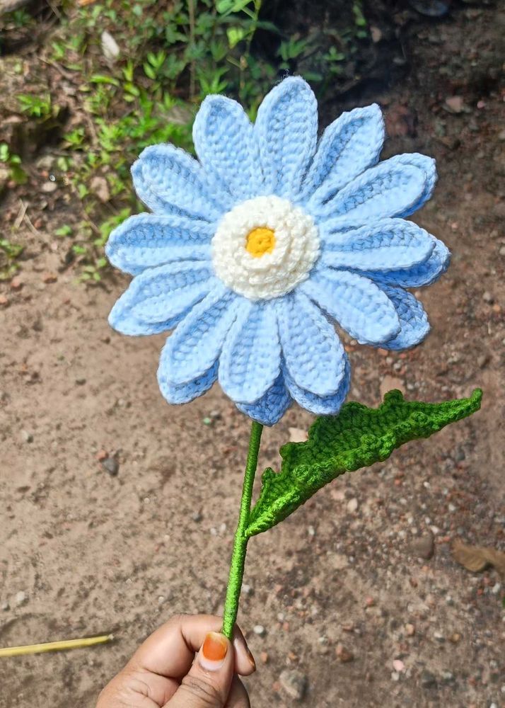 Gerbera flower