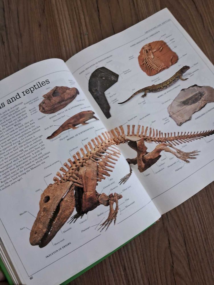 Ultimate Visual Encyclopedia