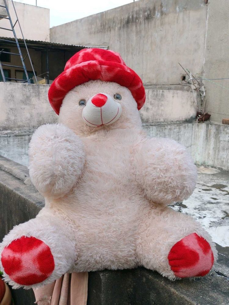 Cute Teddy Bear
